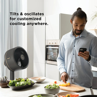 Premium Cordless Mist Cooling Fan