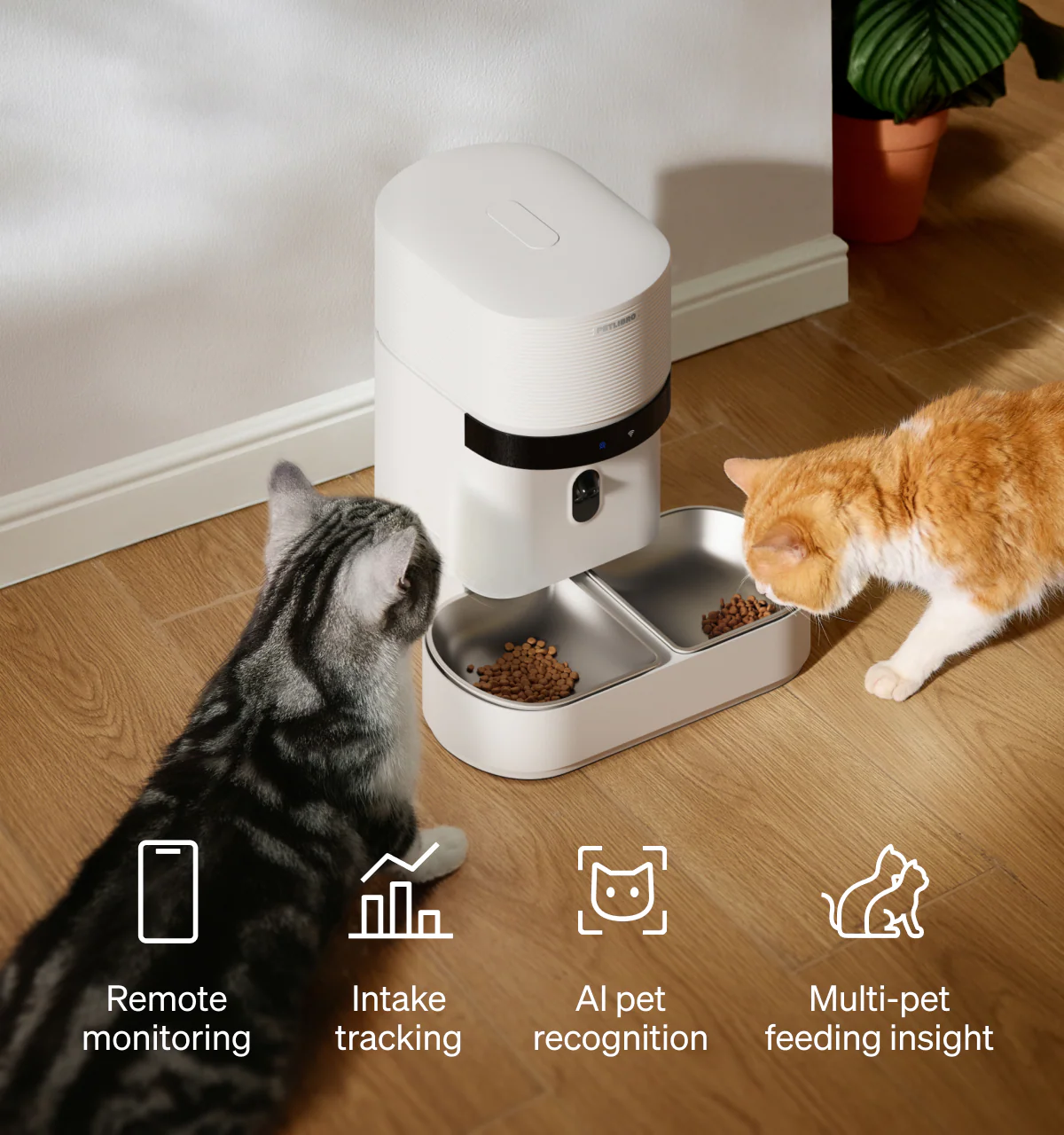 Gram-Track Smart Pet Feeding Station